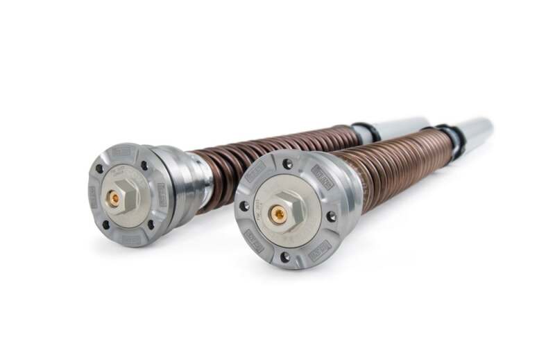 Ohlins 2024-2025 Triumph Daytona 660 NIX 30 Cartridge Kit (Springs/Oil Sold Separately) - FGK 245