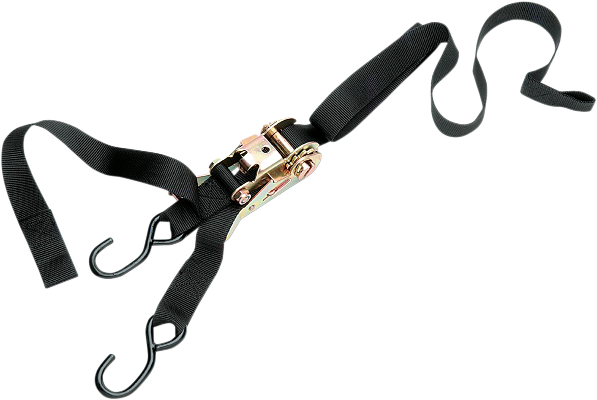 P4M Heavy-Duty Ratcheting Tie-Downs with Built-In Assist