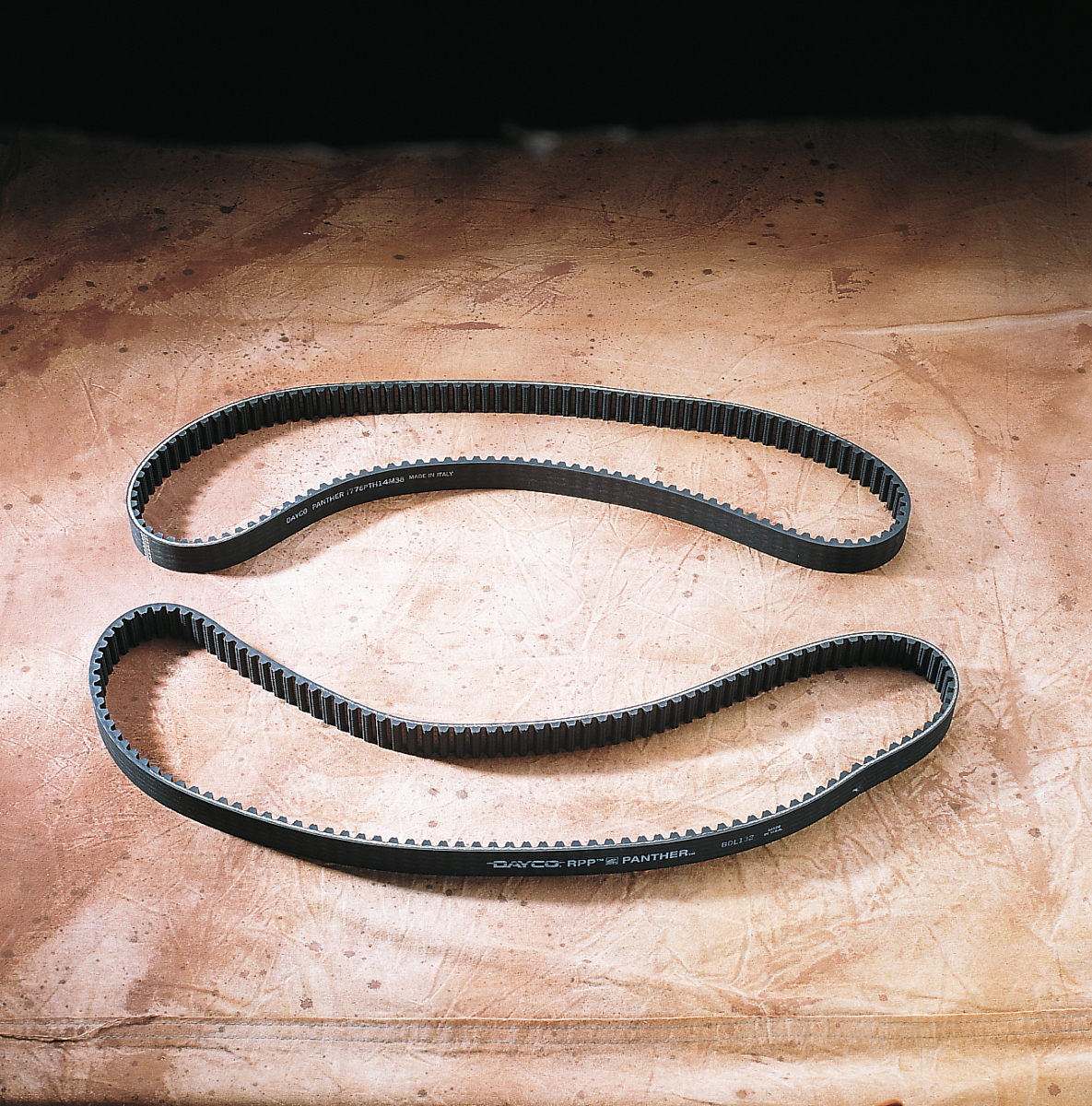 PANTHER Rear Drive Belt