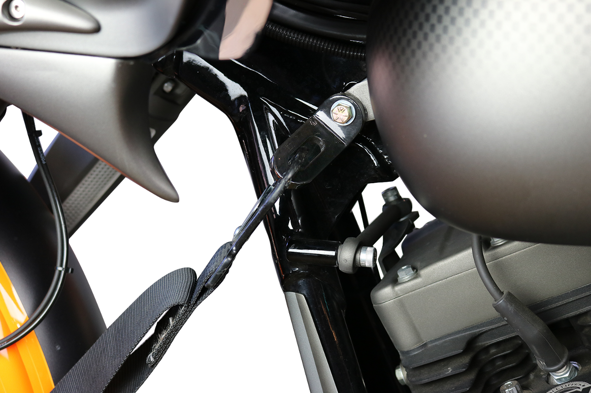 PAUL YAFFE BAGGER NATION Touchless Tie-Down System - Touchless Tie-Down Ancho 3920-0430
