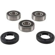 PIVOT WORKS Wheel Bearing & Seal Kit - PWRWK-K09-008