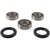 PIVOT WORKS Wheel Bearing & Seal Kit - PWRWK-S09-021