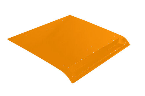 PRO ARMOR Asylum Roof - P141297OM