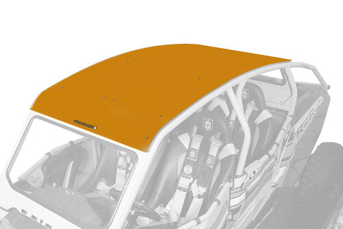 PRO ARMOR Asylum Roof - P144R120ORM