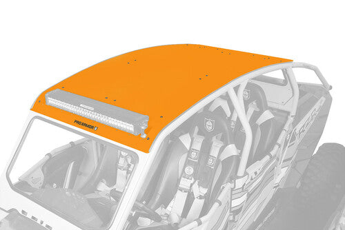 PRO ARMOR Asylum Roof - P144R121OR-446