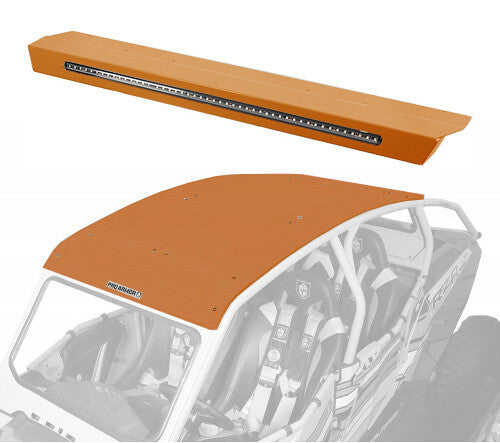PRO ARMOR Asylum Roof - P144R123ORM