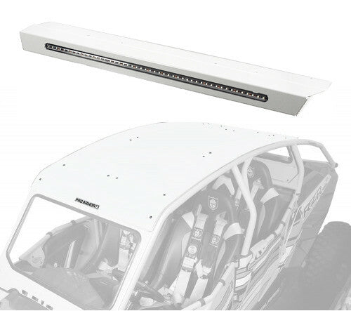 PRO ARMOR Asylum Roof - P144R123WP