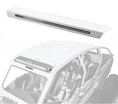 PRO ARMOR Asylum Roof - P144R124WH