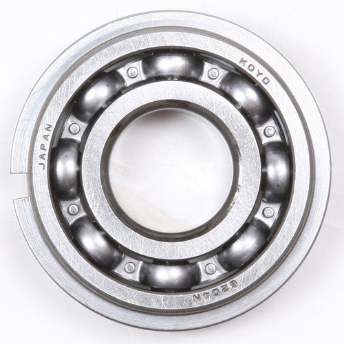 PROX Crankshaft Bearing - 23.6204NR