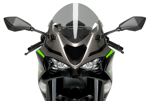 PUIG R-Racer Windscreens - 21832H