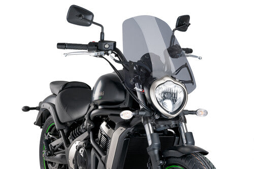 PUIG Racing Windscreen - 8164H