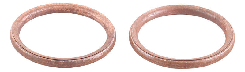QuadBoss Exhaust Gasket Kit - 568930