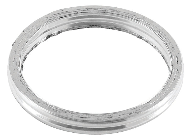 QuadBoss Exhaust Gasket Kit - 568944