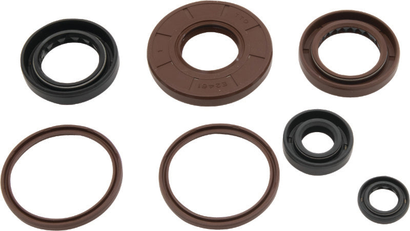 QuadBoss Oil Seal Set - 564643
