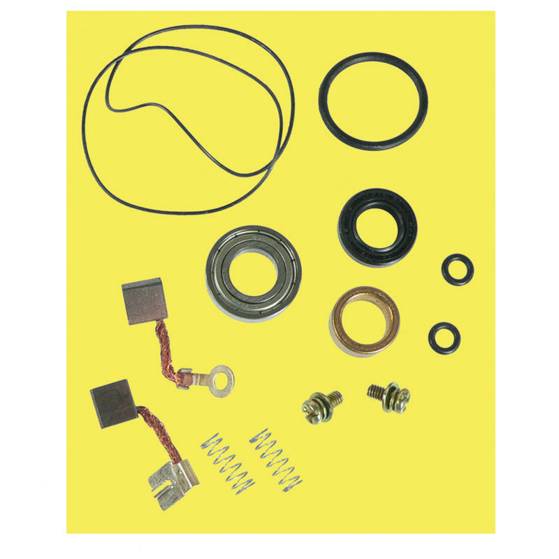 QuadBoss Starter Rebuild Kit - 495745