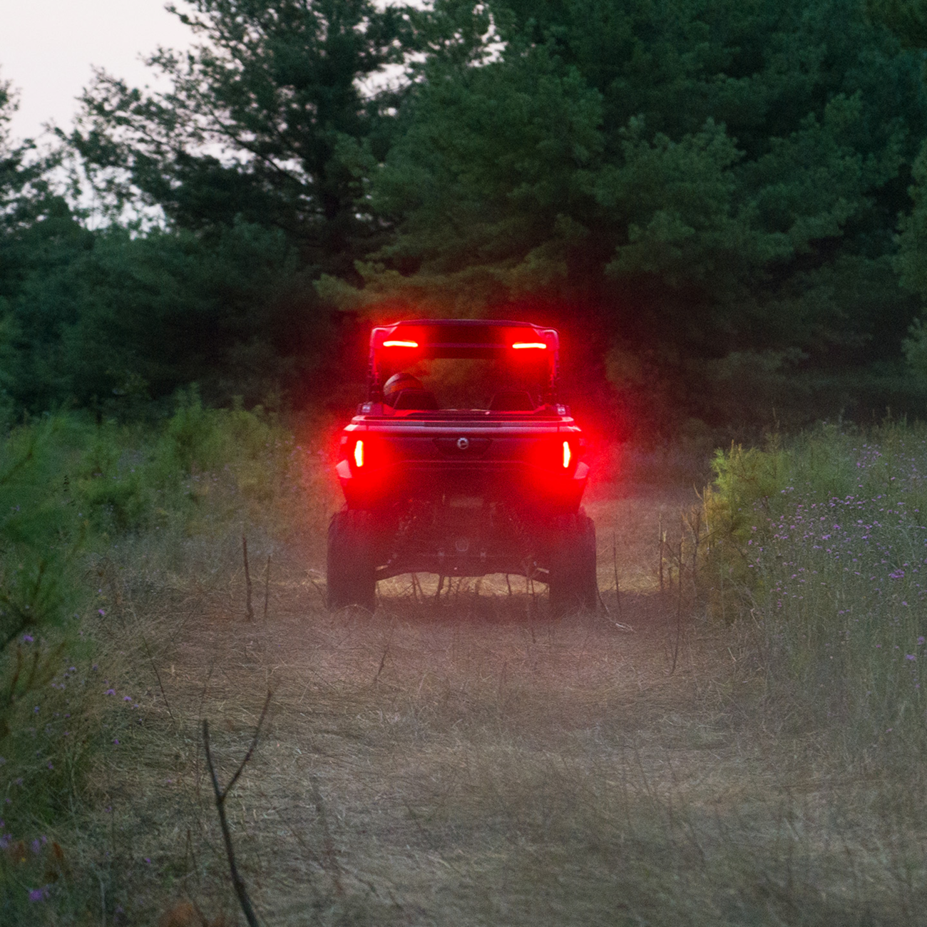 RAVEK Brake Light
