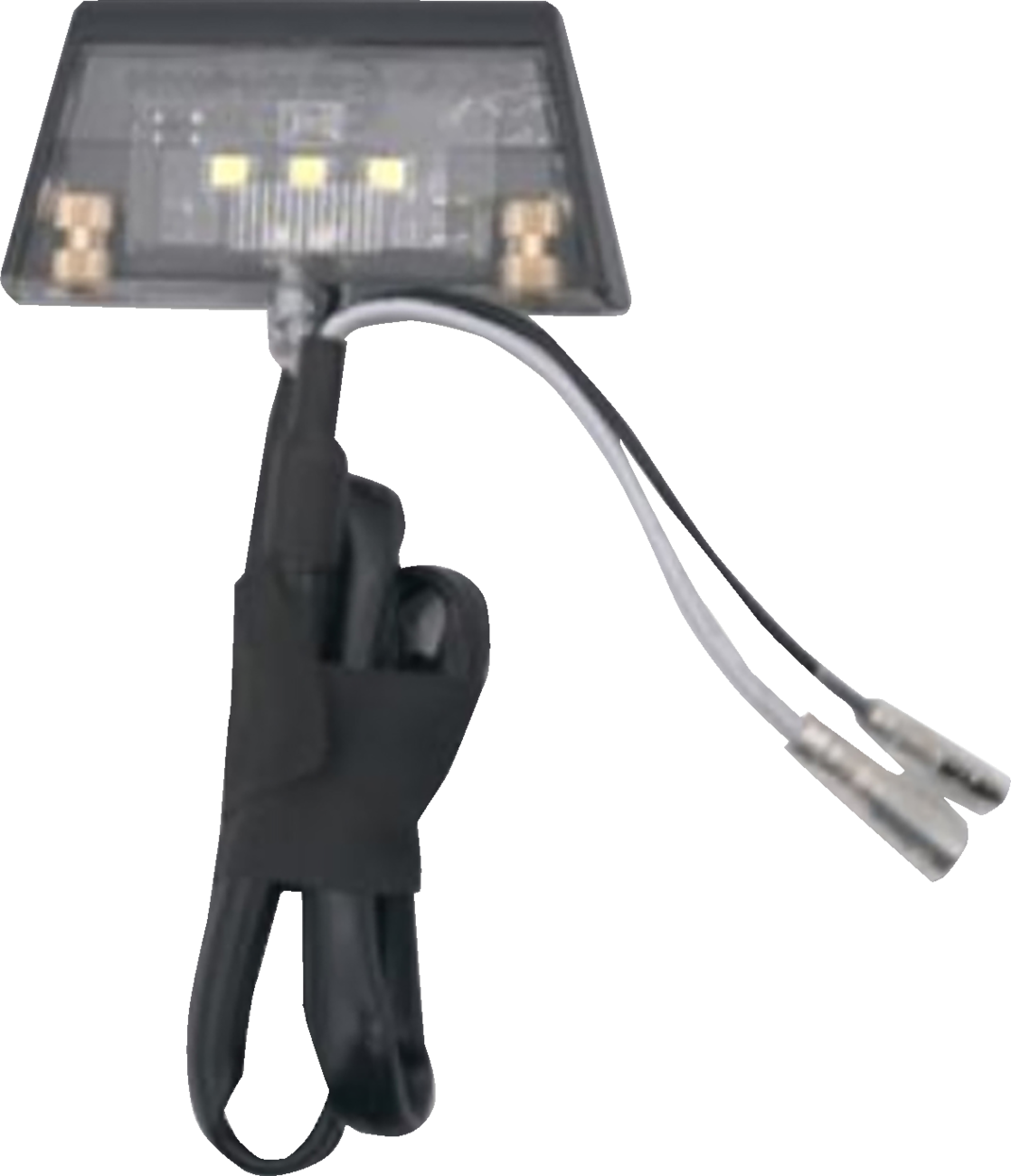 RAVEK License Plate Light - 2030-2487