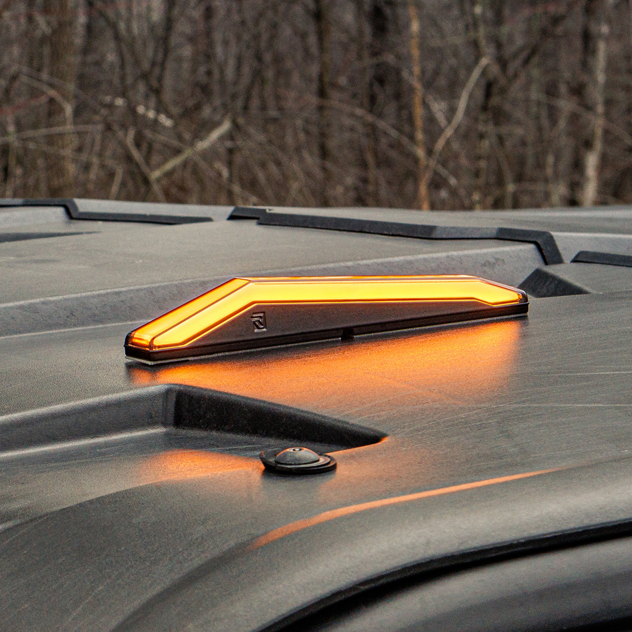 RAVEK Taillight