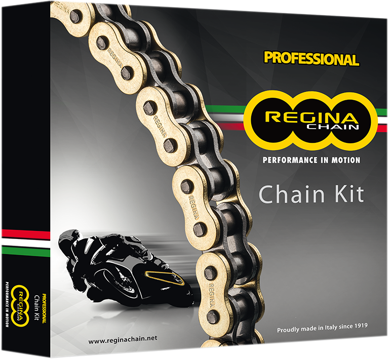 REGINA Chain and Sprocket Kit