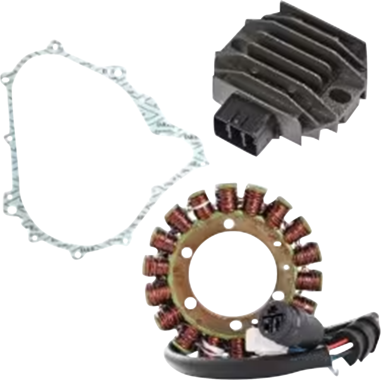 RICK'S MOTORSPORT ELECTRIC Charging Kit