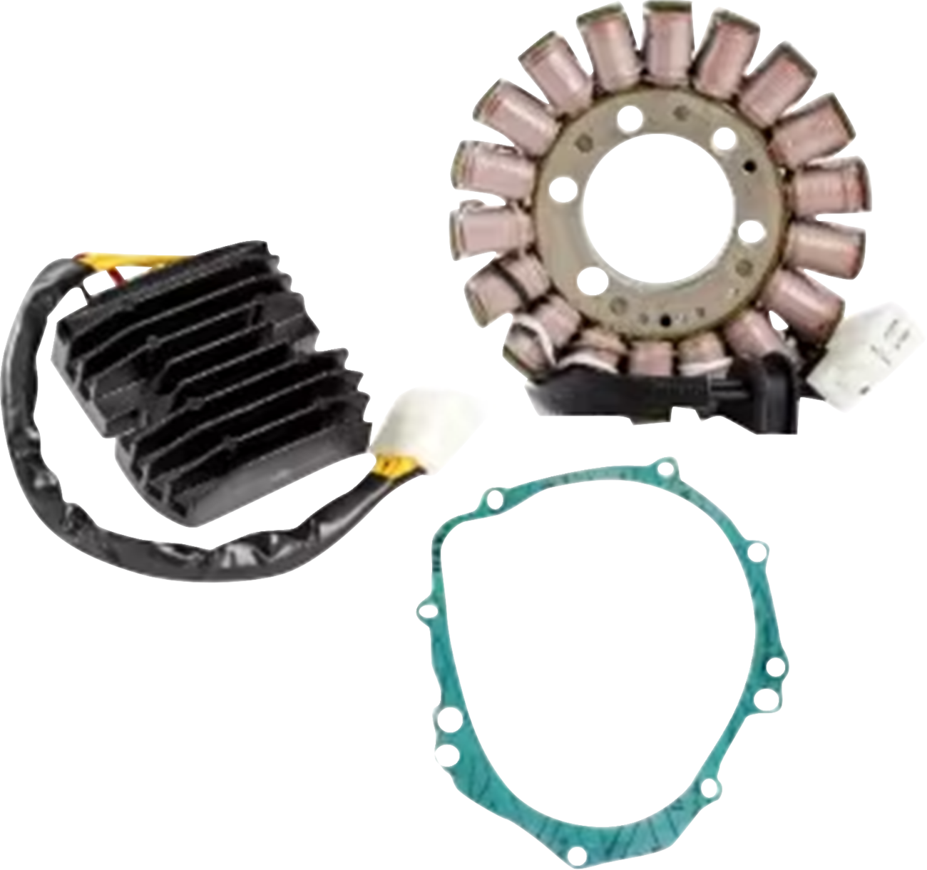 RICK'S MOTORSPORT ELECTRIC Charging Kit