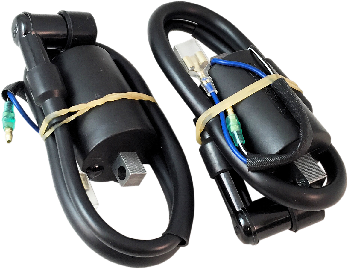 RICK'S MOTORSPORT ELECTRIC Ignition Coil