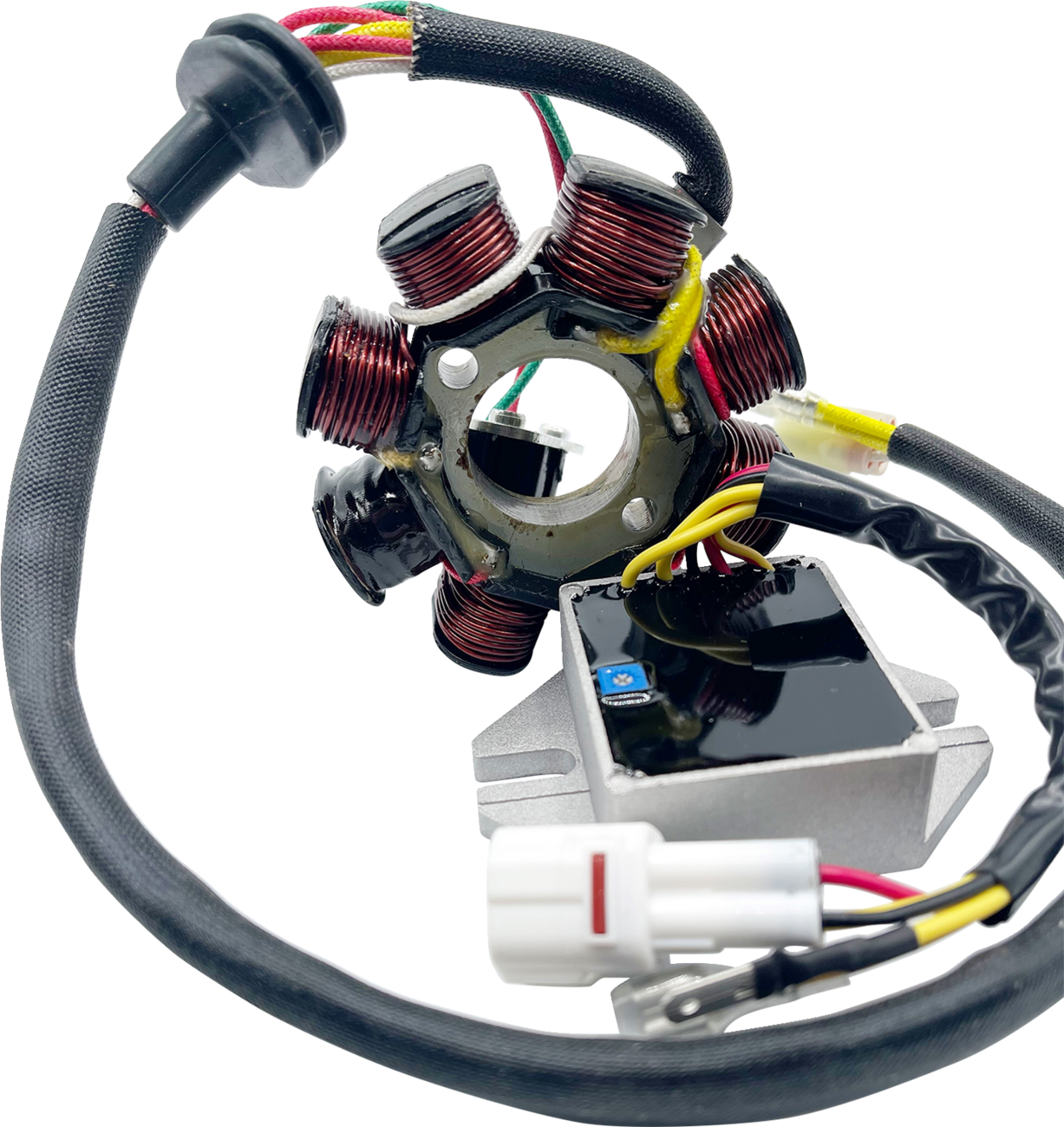 RICK'S MOTORSPORT ELECTRIC Lithium-Ion Compatible Charging Kit