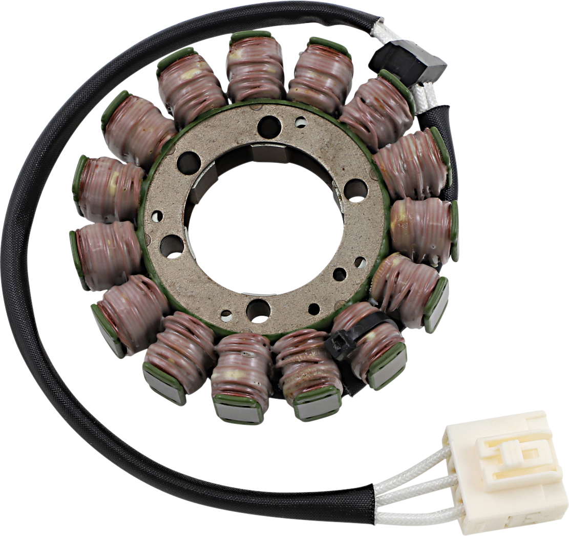 RICK'S MOTORSPORT ELECTRIC OE Style Stator