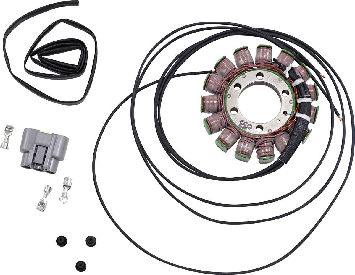 RICK'S MOTORSPORT ELECTRIC OEM Style Stator