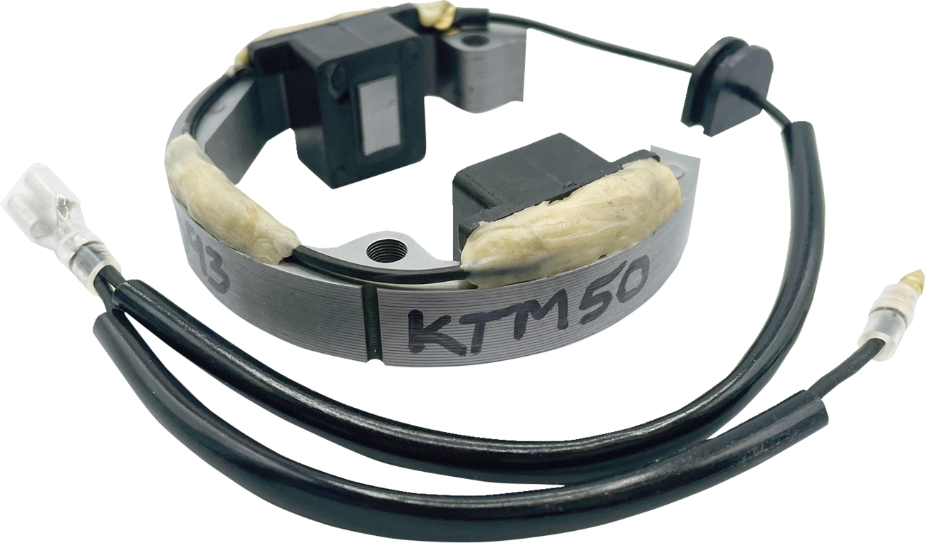 RICK'S MOTORSPORT ELECTRIC Stator