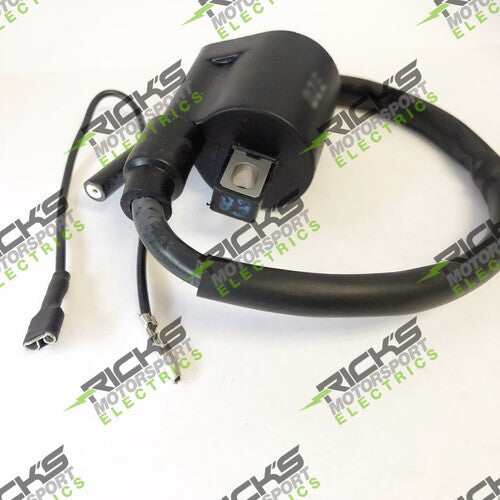 RICKS Ignition Coil - 23-301