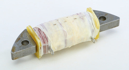 RICKS Stator Coil - 22-502