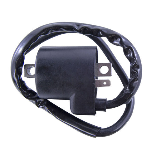 RM STATOR External Ignition Coil - RM06035