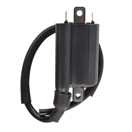 RM STATOR External Ignition Coil - RM06163