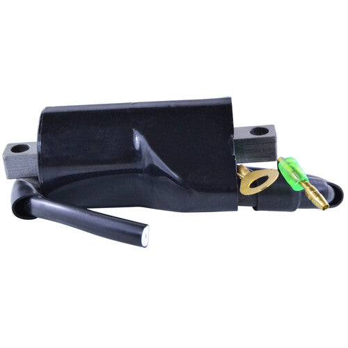 RM STATOR External Ignition Coils - RM06056