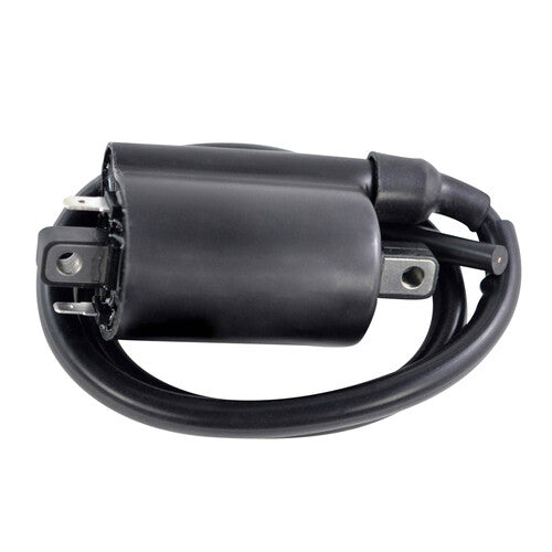 RM STATOR External Ignition Coils - RM06176