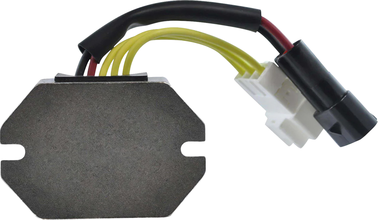 RM STATOR Voltage Regulator