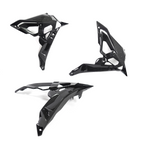 Ilmberger Carbon Fiber Radiator Cover - BMW S1000R 2017-2020