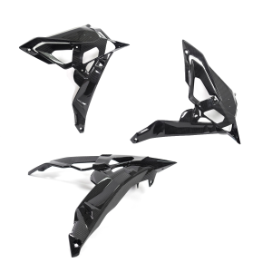 Ilmberger Carbon Fiber Radiator Cover - BMW S1000R 2017-2020