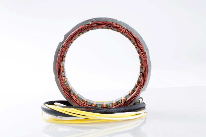Ricks Motorsport Electrics Ricks Motorsport Honda Stator - 21-100