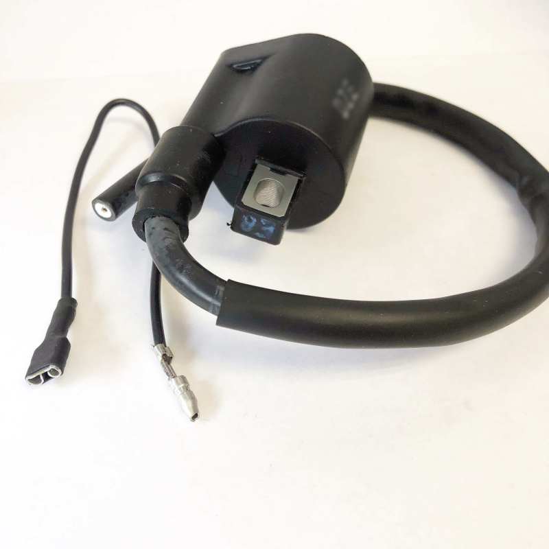 Ricks Motorsport Electrics Ricks Motorsport New Ignition Coil - 23-301
