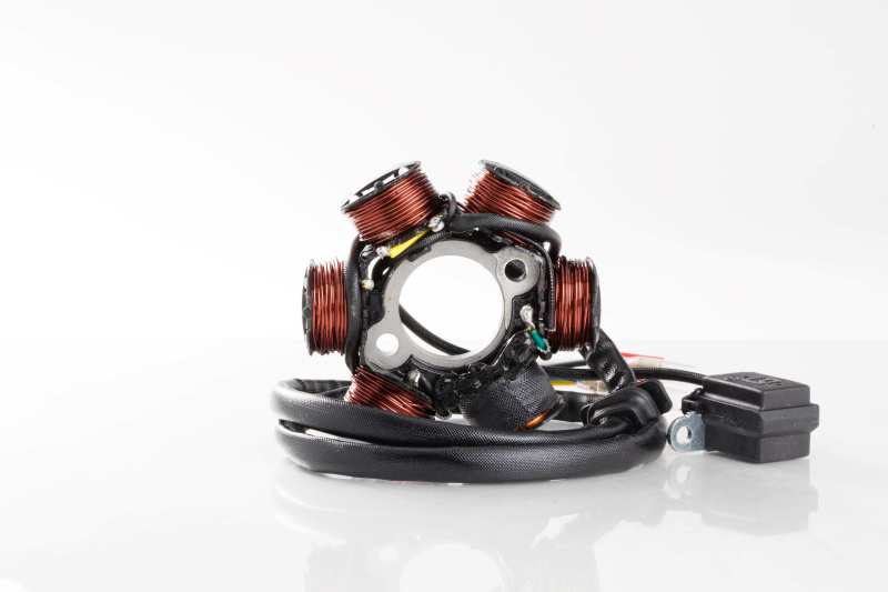 Ricks Motorsport Electrics Ricks Motorsport New OEM Style Can-Am Stator - 21-061