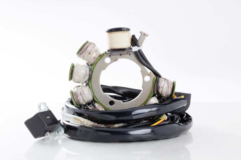 Ricks Motorsport Electrics Ricks Motorsport Polaris Stator - 21-554
