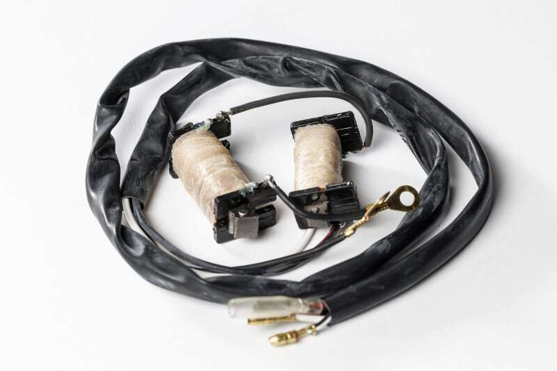 Ricks Motorsport Electrics Ricks Motorsport Stator Rebuild Kit - 22-780