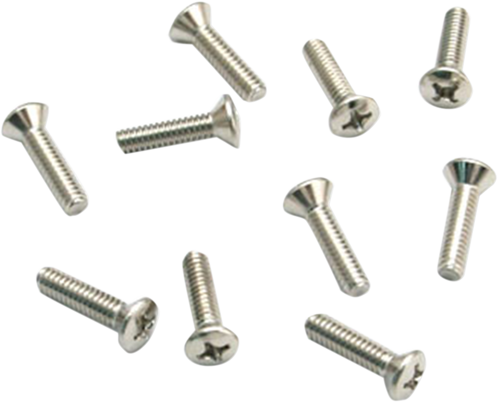 S&S CYCLE Air Cleaner Cover Screws - DS289405
