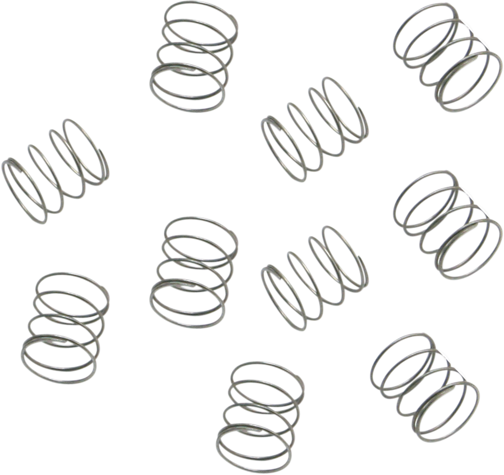 S&S CYCLE Carburetor Springs