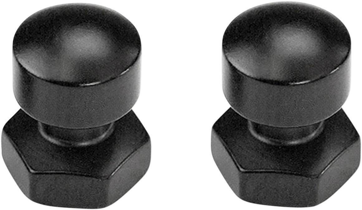 SADDLEMEN Seat Mounting Nuts - Seat Mount Nuts / 1/4"-20 0820-0119