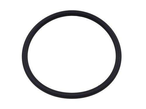 SP1 Fuel Pump Seal - SM-07263
