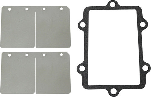 SP1 Reed Valve Rebuild Kit - SM-07152C