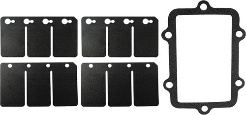 SP1 Reed Valve Rebuild Kit - SM-07161C